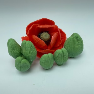 Poppy flower buds Silicone molds. Poppy buds food grade  silicone mold. Craft silicone mold for soap, epoxy, flexible chocolate etc…