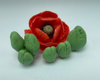May include: A red poppy flower with green leaves. The flower is made of fondant and is a decorative element for a cake.