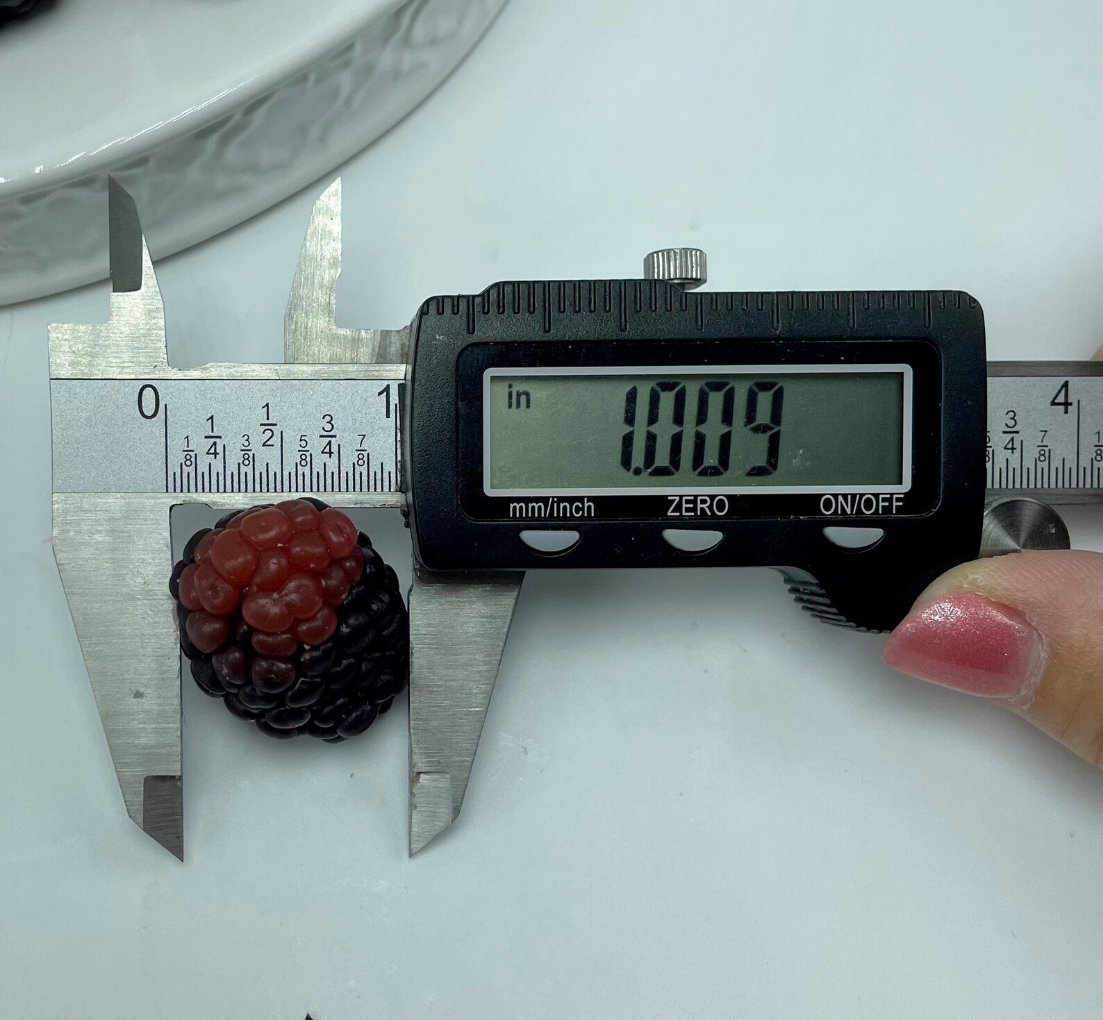 Large Blackberry 3D Silicone Mold. Realistic Berry Soap Mold. Etsy