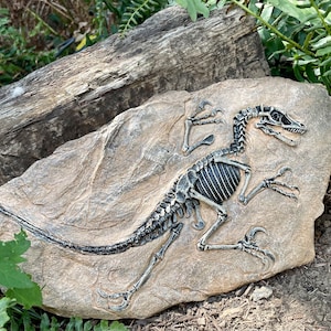 Dinosaur skeleton in stone silicone mold. Epoxy Resin Concrete Paris Plaster etc... silicone mold. Garden rocks mold. Home decor stone mold