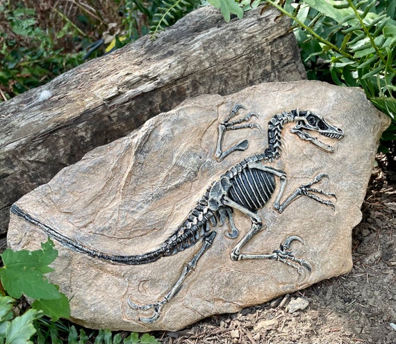 Dinosaur Skeleton in Stone Silicone Mold. Epoxy Resin Concrete Paris  Plaster Etc Silicone Mold. Garden Rocks Mold. Home Decor Stone Mold 