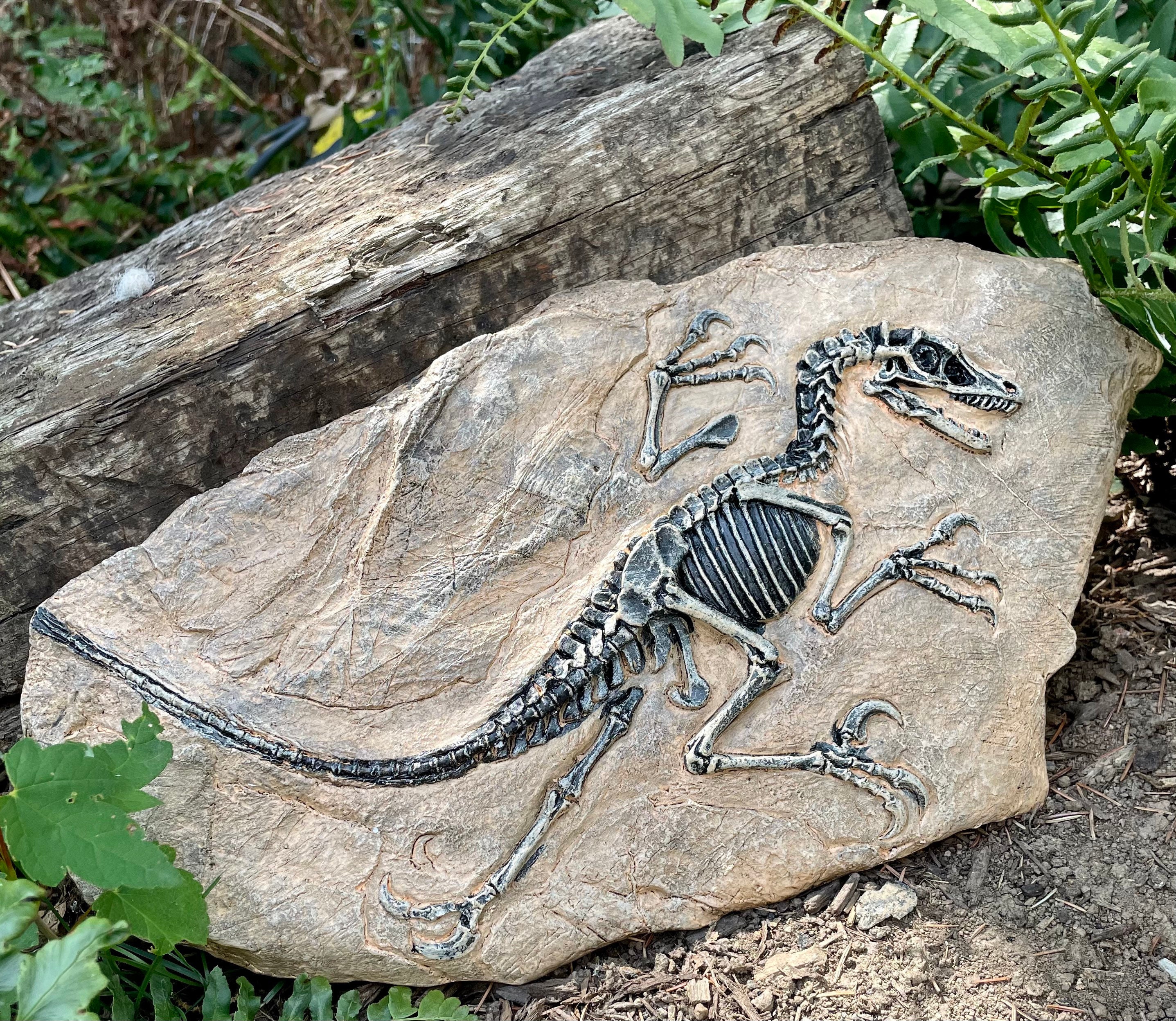 Dinosaur Fossil Mold 