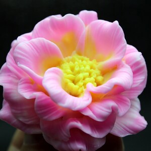 May include: A pink and yellow soap flower with a detailed center. The flower is made to look like a real flower.