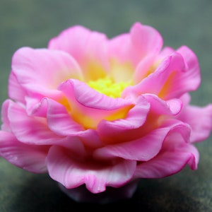 May include: A close-up of a pink flower with a yellow center. The flower has many petals and is in focus. The background is a blurry green.