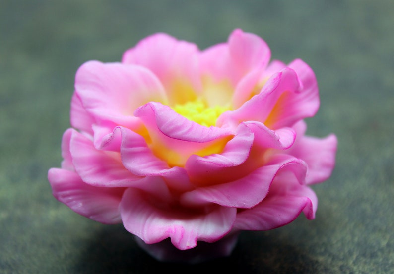 May include: A close-up of a pink flower with a yellow center. The flower has many petals and is in focus. The background is a blurry green.