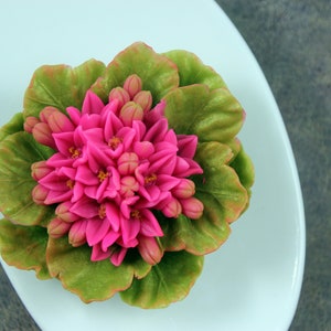 Calanchoe Flower silicone mold for soap. Flowers and leaves mold. Inflorescence flower mold. Calandiva floral mold image 6