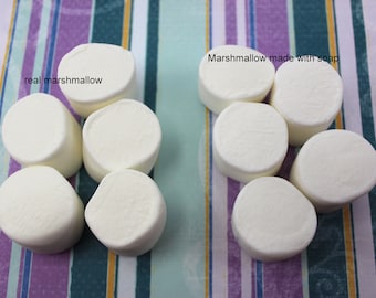 Può includere: Due gruppi di marshmallow bianchi, uno etichettato "marshmallow vero" e l'altro etichettato "marshmallow fatto con sapone".