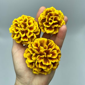 Moldes de silicone de calêndula. Molde de silicone de flor de jardim. Molde de calêndula 3D. Molde floral.
