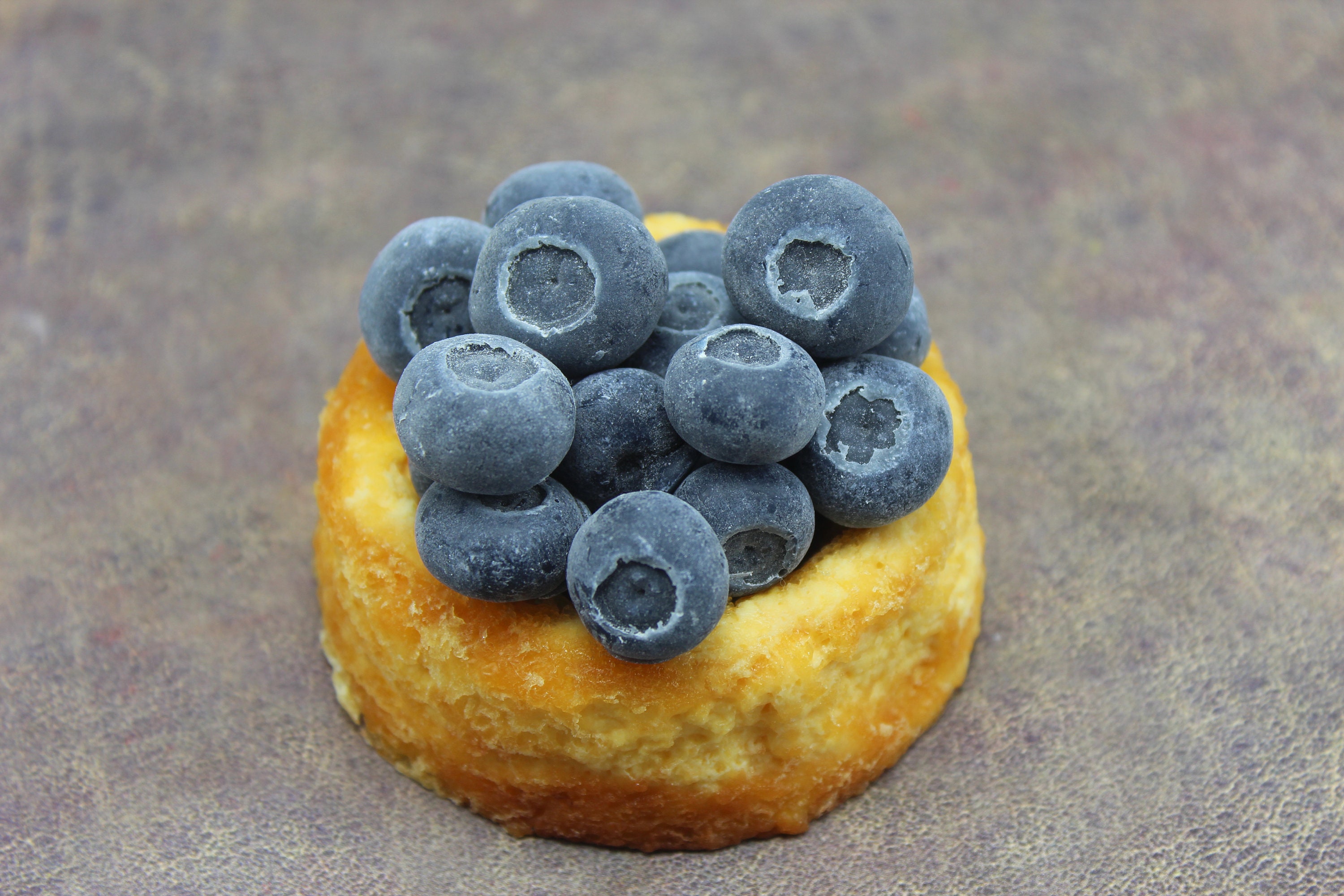 Fake Cake silicone mold. Sponge cake mold. Round cake mold. Etsy