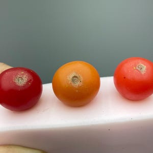 Cherry tomato silicone mold. Realistic 3d food grade silicone mold for Epoxy Wax Soap etc