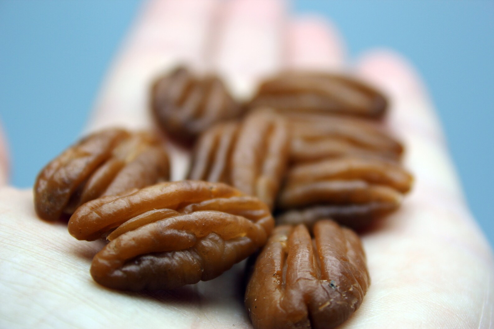 Pecan Halves 3d Silicone Mold. Soap Embeds Mold. Epoxy Resin Etsy