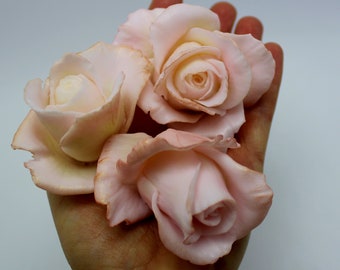 May include: Three pale pink roses are held in a hand. The roses are arranged in a cluster, with the blooms facing the viewer. The roses have a soft, delicate appearance.