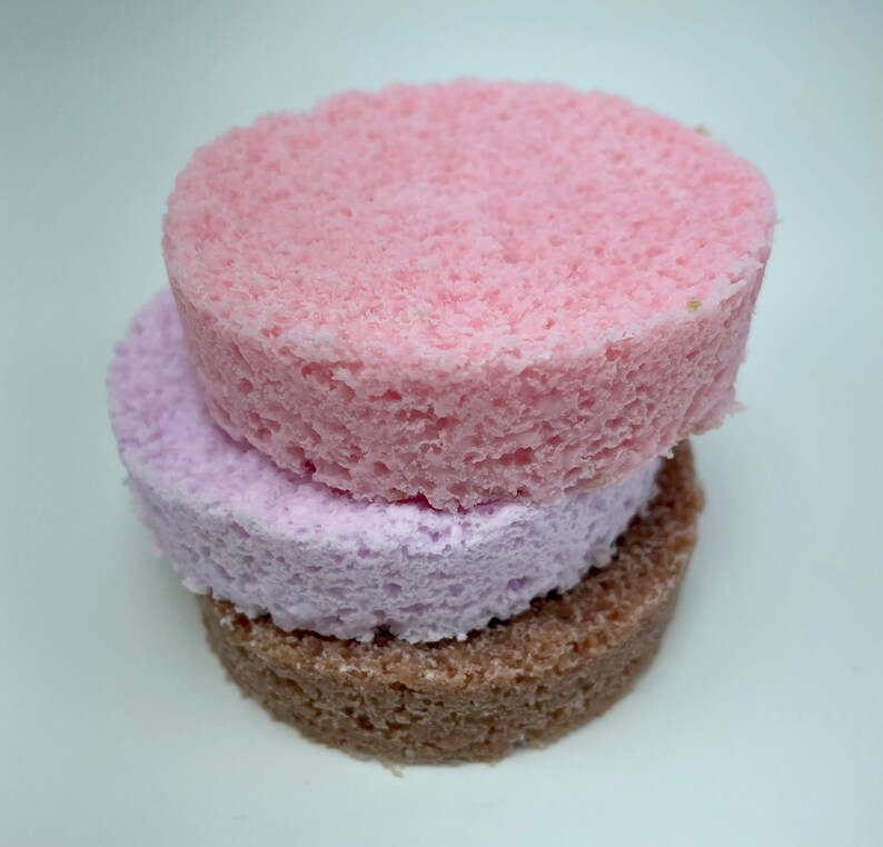 2.8 Sponge Cake Mold. Silicone Cake Mold. Piece of Cake Etsy