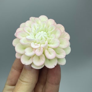 Dahlia 3d silicone mold. Small 3d flower silicone mold for soap.