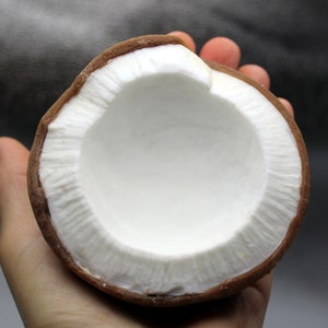 Peut inclure: Une moitié de noix de coco avec une coque brune et un intérieur blanc. La noix de coco est tenue dans une main.