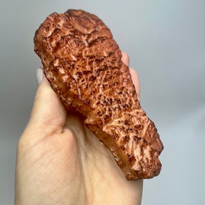 May include: A close-up of a single, cooked, brown steak. The steak has a slightly crispy exterior and a soft, pink interior.