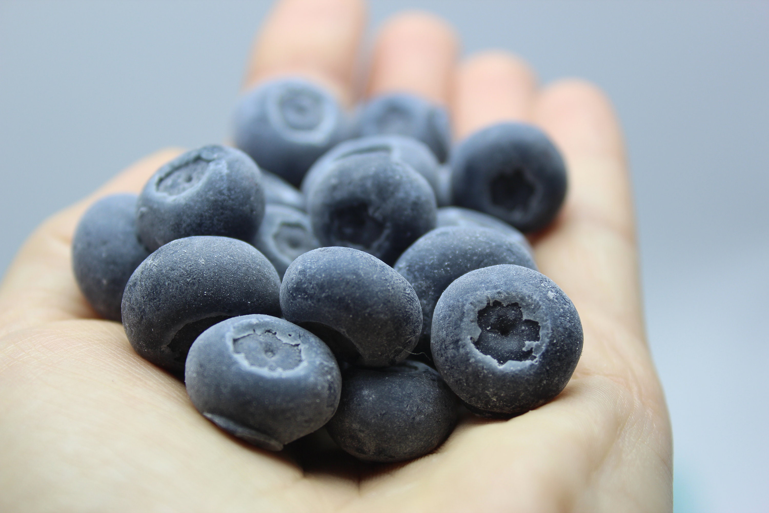 Blueberry 3D Silicone Mold. Whole Blueberry Mold. Realistic Etsy Canada