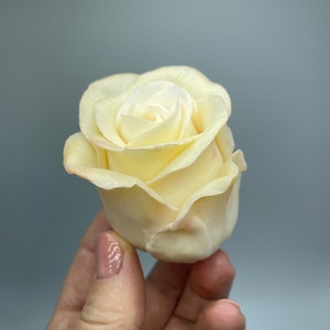 Single Rose Silicone Mold