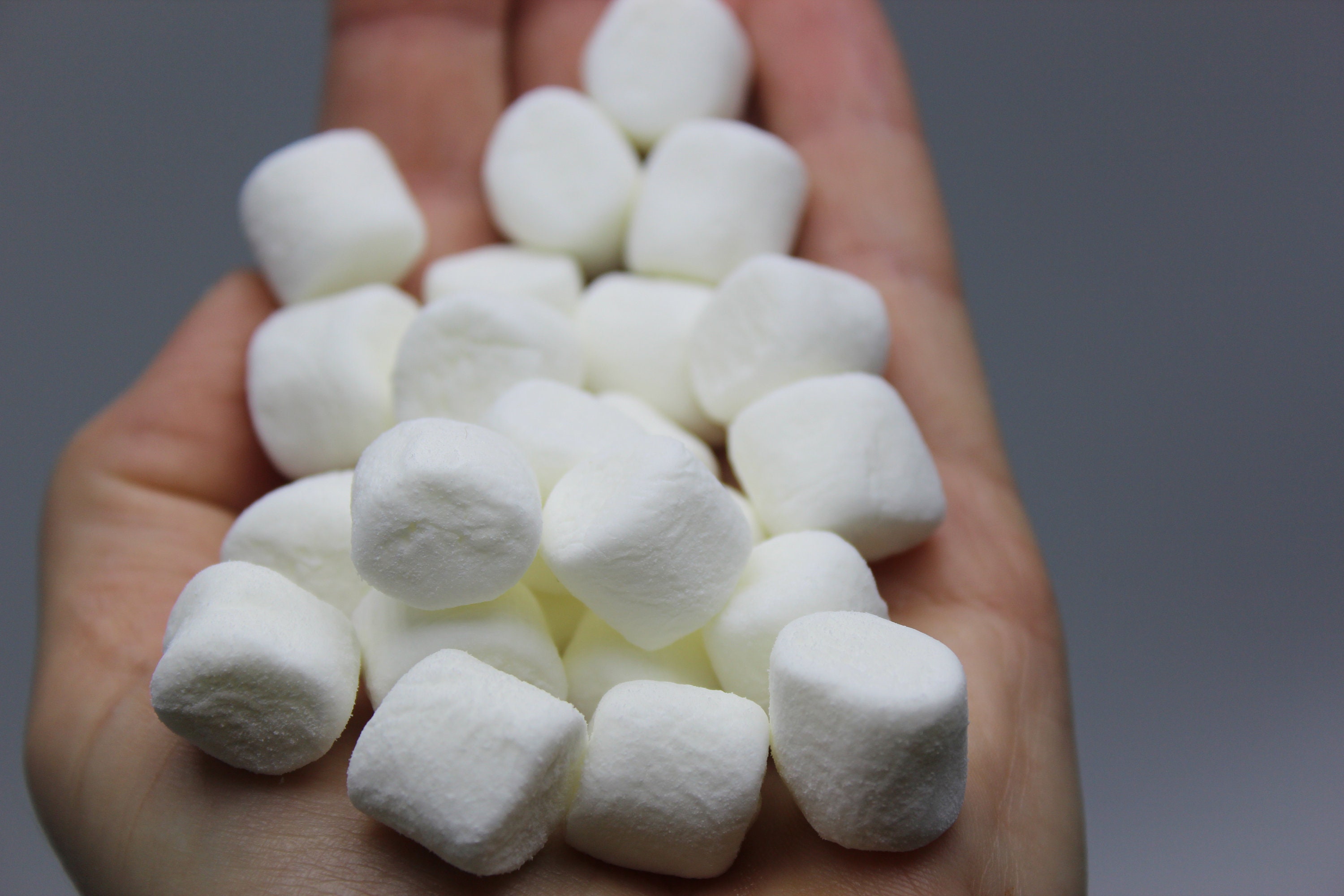 Realistic Mini Marshmallow Silicone Mold - Perfect for Christmas Crafts