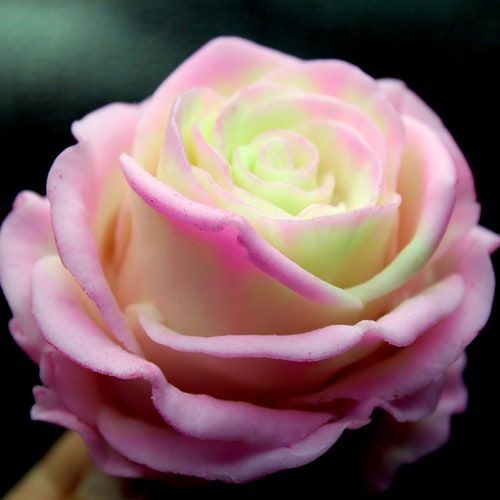 Big Rose Silicone Mold for Soap. Epoxy Resin Mold. Rose Flower Etsy