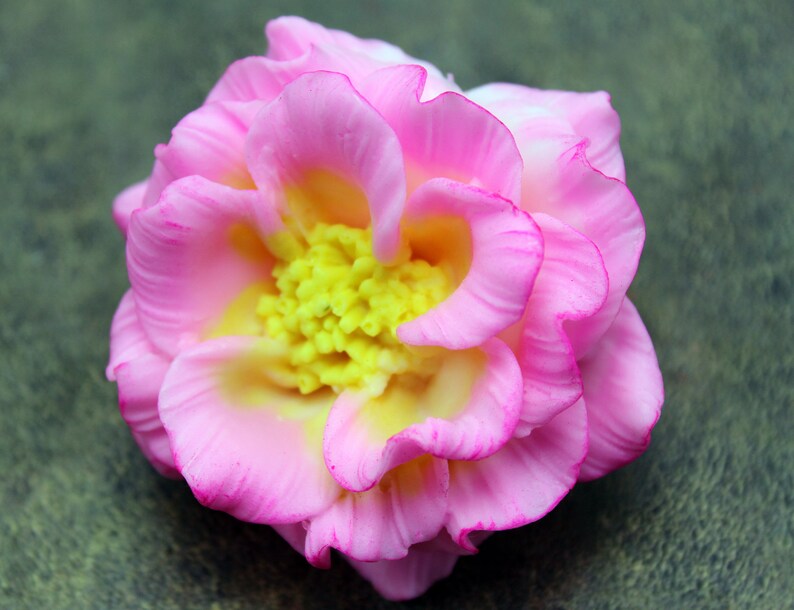 May include: A pink and yellow artificial flower with a ruffled texture. The flower is made of fabric and has a realistic appearance.