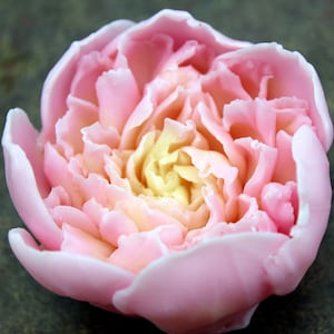 Peony silicone mold for soap. Large flower silicone mold. Realistic flower mold. 3d Floral Peony mold.