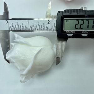 Pu&ograve; includere: Un bocciolo di rosa in ceramica bianca misurato con un calibro digitale, che mostra una misura di 2,27 pollici.