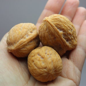 Whole Walnut silicone mold. Soap embeds mold. Epoxy Resin mold. 3d WalNuts mold.