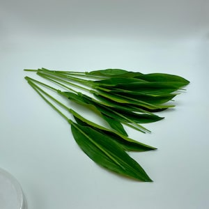 May include: A bunch of artificial green leaves with long stems. The leaves are long and narrow with a pointed tip.