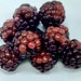 see more listings in the Berries fruits Nuts mold section