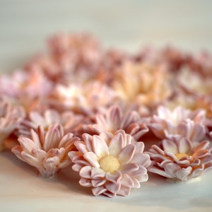 DAISY MUMS SET 2 silicone molds 3d Chrysanthemum mold