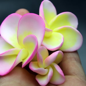 Plumeria silicone molds. 3d Plumeria flower mold. Soap silicone mold. Epoxy resin silicone mold