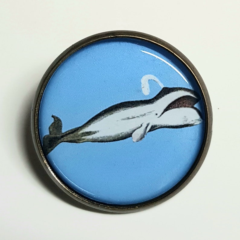 Whale Brooch Vintage Image Pin/badge Marine Sealife Nautical - Etsy