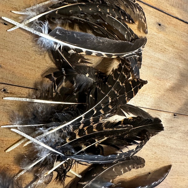 Natural Feathers • craft• hat• DIY• real • free-range bird• HAIR extension• jewelry• art • hackle • chicken