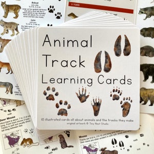 Animal Tracks Learning Cards | Animal Track Identification | Animal Prints for Kids | Animal Track Nature Guide | Nature Study for Kids