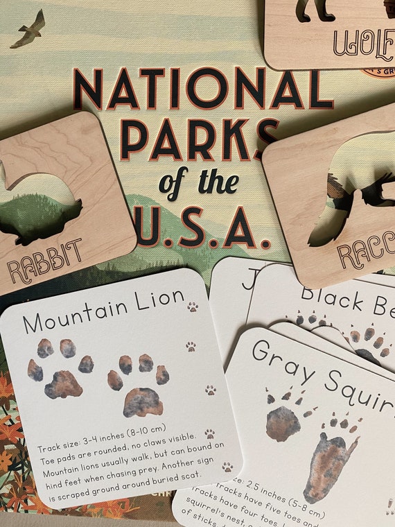 Animal Track Matching (U.S. National Park Service)