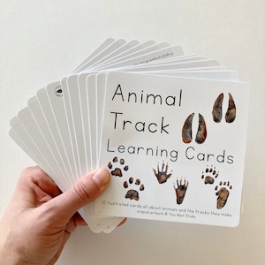Cartes d'apprentissage Traces d'animaux | Identification des traces d'animaux | Imprimés animaliers pour enfants | Guide Nature Animal Track | Étude de la nature pour les enfants