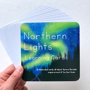 Tarjetas de aprendizaje de auroras boreales