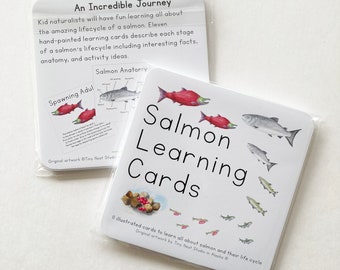 Salmon Life Cycle Cards, Life Cycle Study, Homeschool Science, Salmon Stickers,