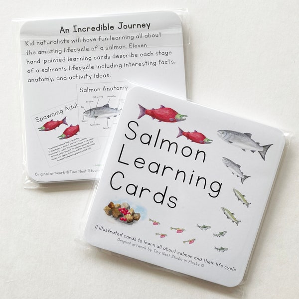 Salmon Life Cycle Cards, Life Cycle Study, Homeschool Science, Salmon Stickers,