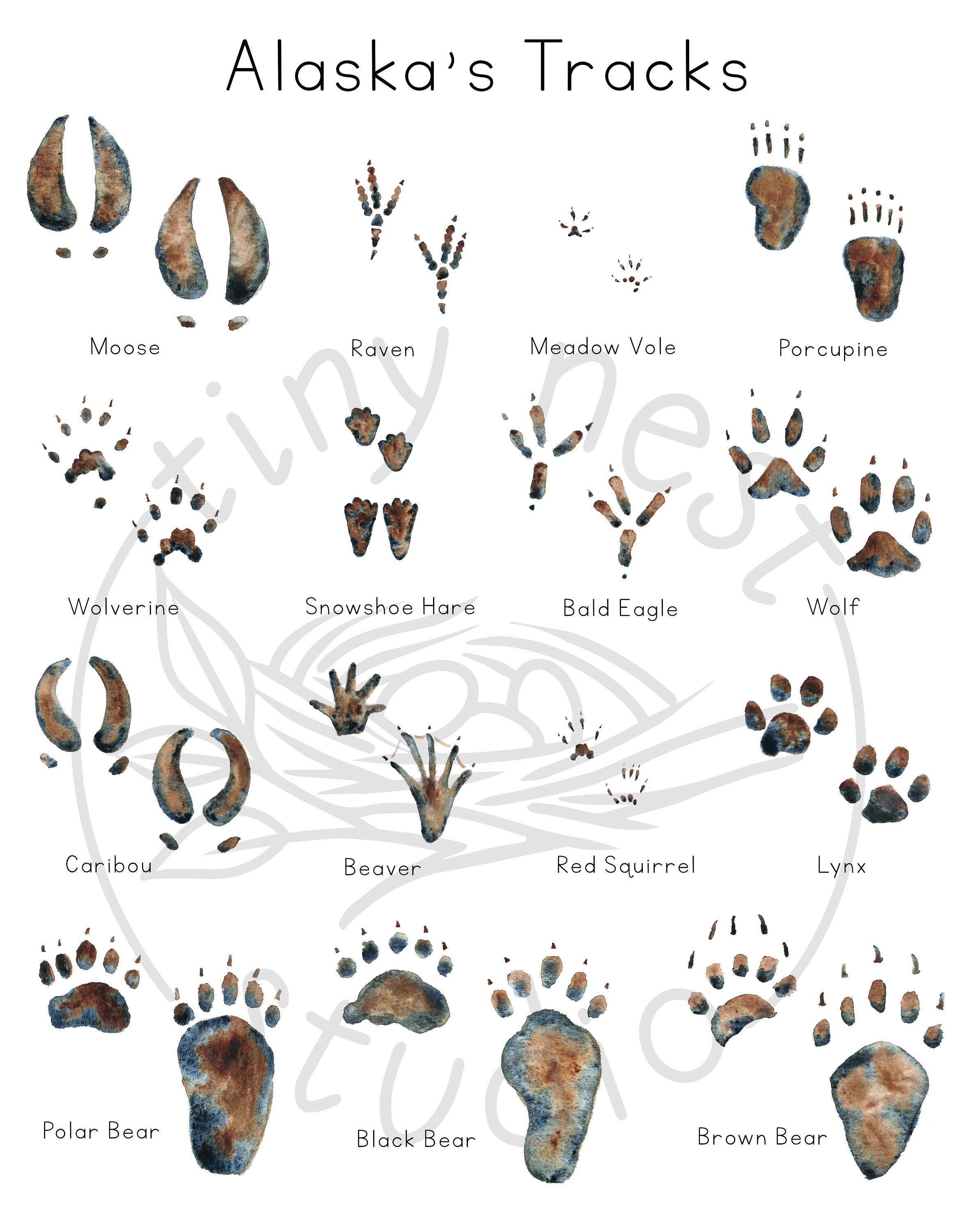 Animal Tracks of Alaska Print Digital Download Animal Etsy