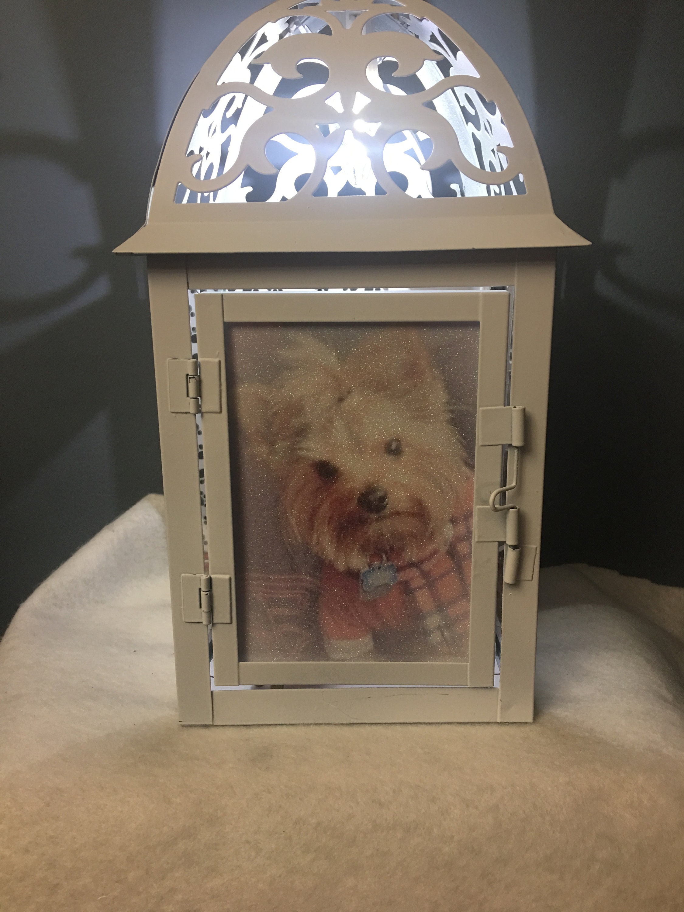 Pet Memorial Lighted Lantern Dogcat Memorial Keepsake With Etsy