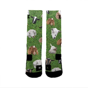 Goat Farm HoopSwagg Customized Socks, All Shoe Sizes, Perfect Funny Gift, Cute Gift,