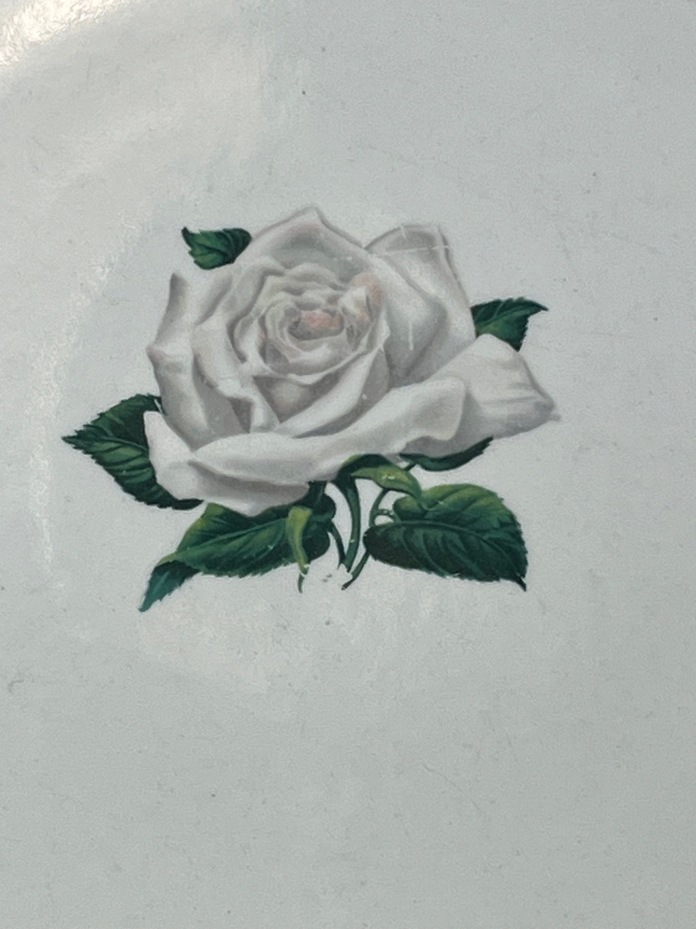 Georgian China White Rose Tudor Style Dinner Plate, Vintage