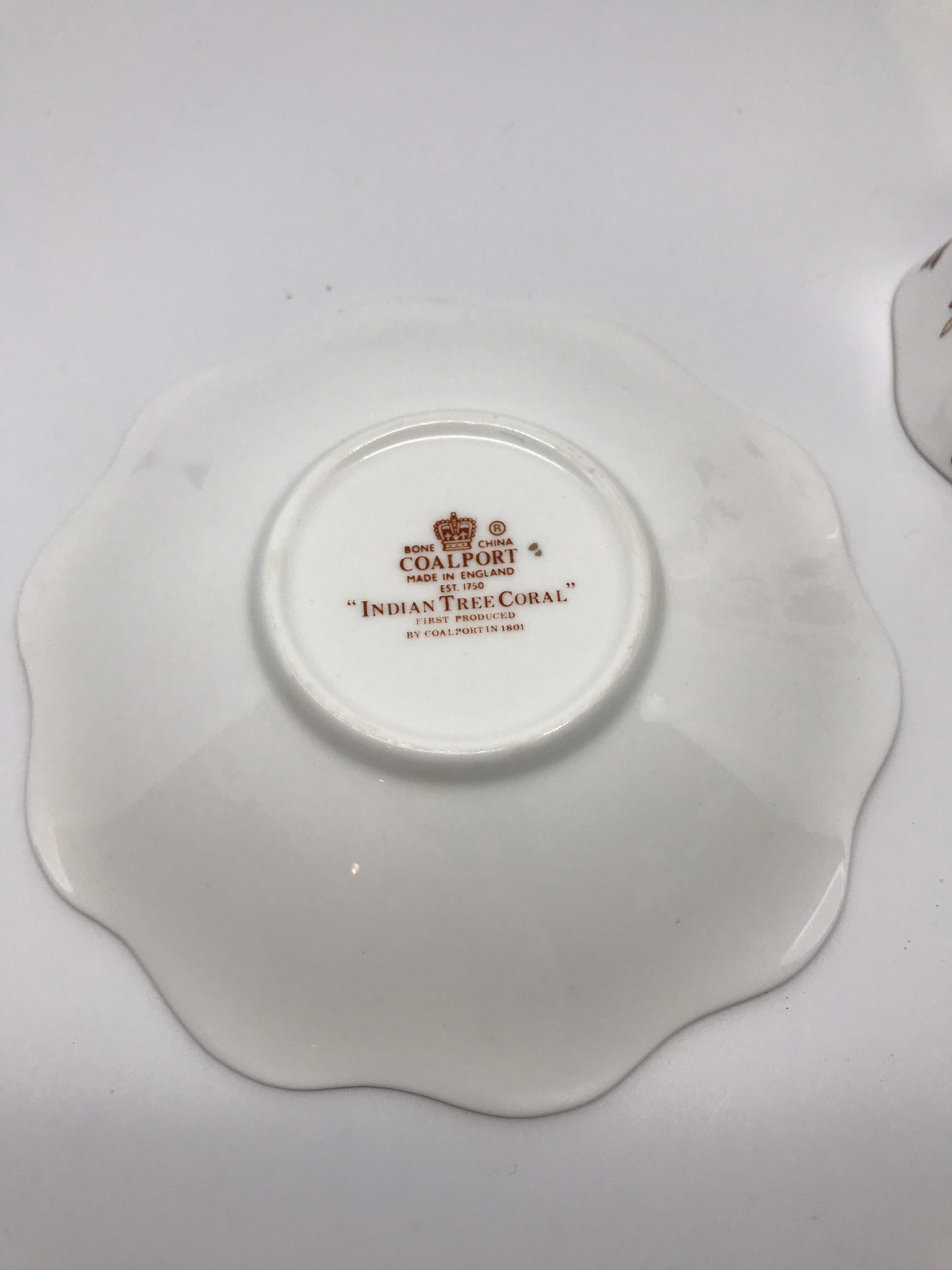 Vintage Coalport Indian Tree Coral Bone China Cup and Saucer Set