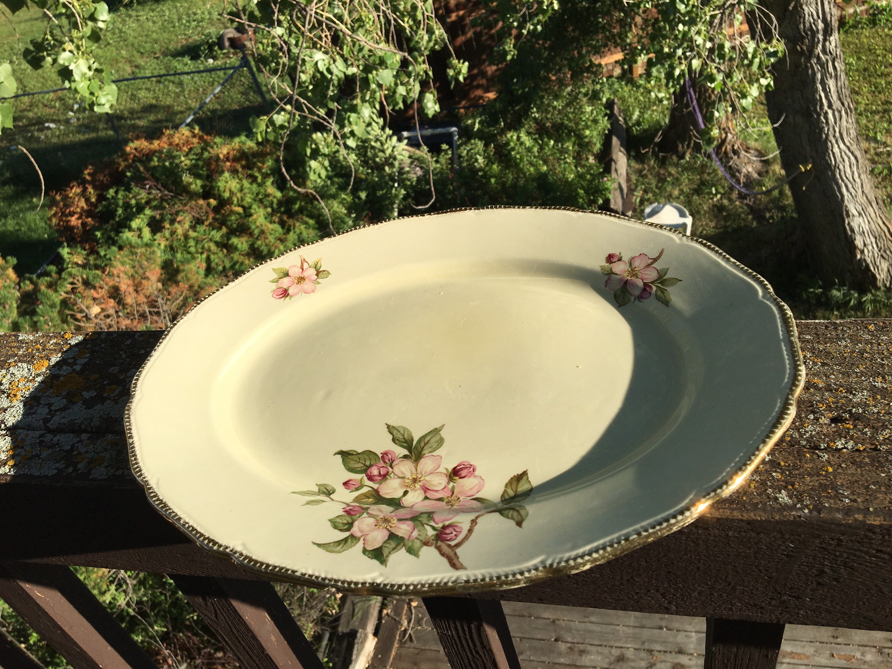 Platter Royal Swan Blossomtime Blossom Time Serving Etsy