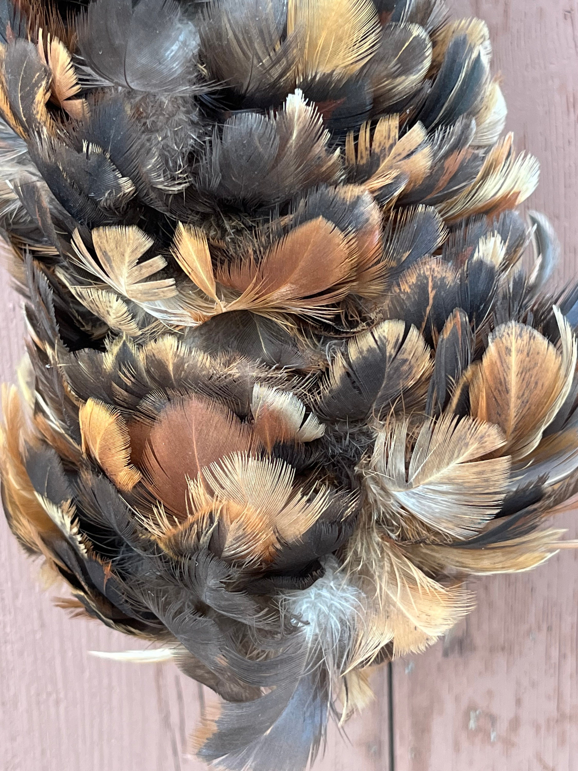 Plumero avestruz 70/120 cm marrón - RETIF