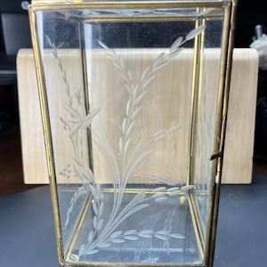 Op de afbeelding: Een transparante glazen vitrine met een gouden metalen frame. Het glas is gegraveerd met een bloemmotief. De vitrine heeft een scharnierende deur en staat op vier kleine voetjes.