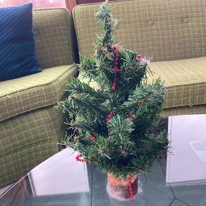 Peut inclure: Un petit sapin de Noël artificiel avec des aiguilles vertes et un tronc brun. L'arbre est décoré d'une guirlande de perles rouges.