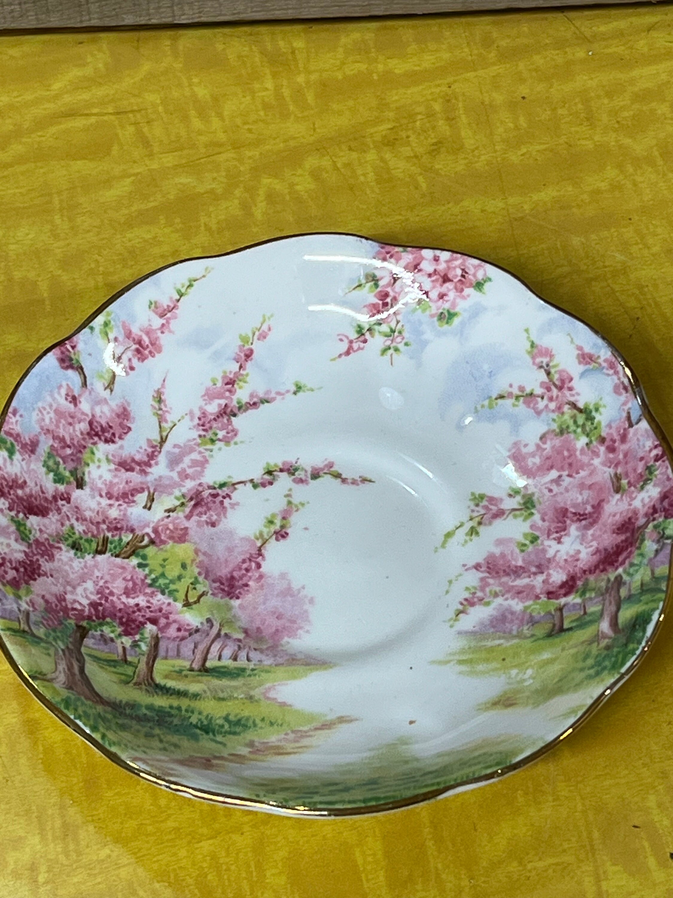 Royal Albert BLOSSOM TIME Bone China Tea Cup and Saucer - Made in